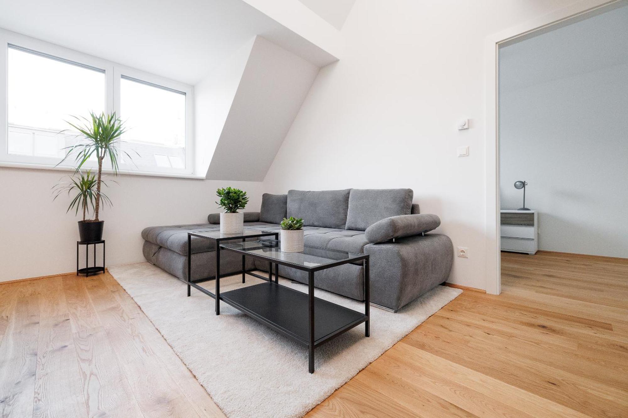 Symphony 41 - Modern Loft With Terrace And Grill In Location Appartement Vienne